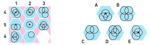 fig38b